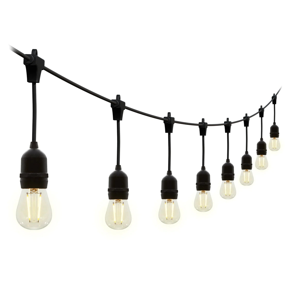 Festoon Lights